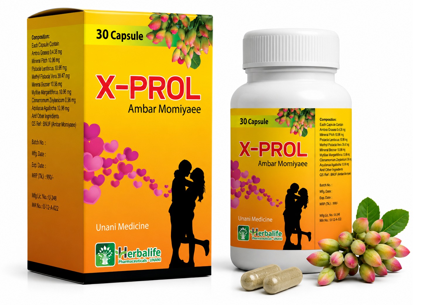 X-PROL - Ambar Momiyaee